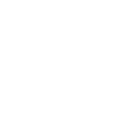 Customized Playlists